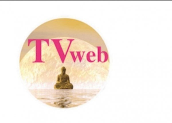 TVweb 3. 1. 9 GO TV