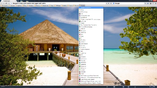 Chrome Portable с закладками и расширениями