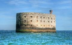 Fort bauar240x320s40