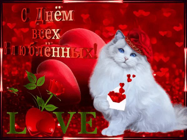 Файл #95829455