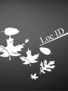 LocID1. 19p50-83anism. ru