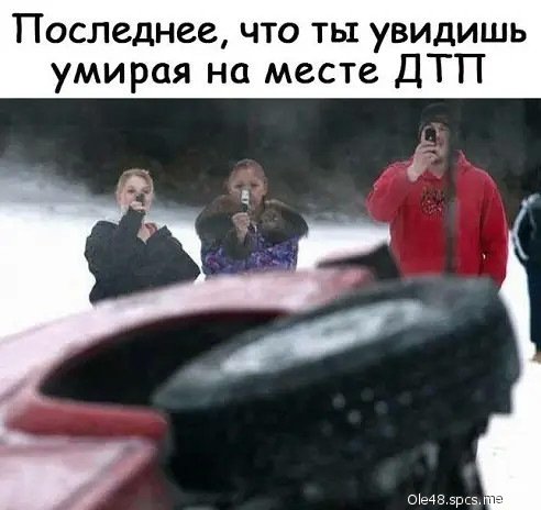 Жизнь