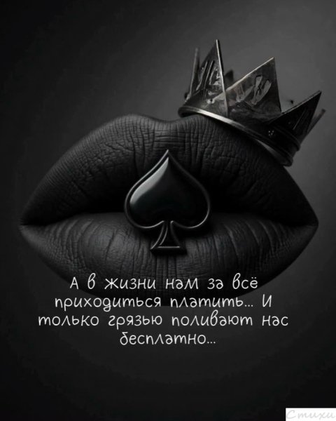 3n8 QyyCSQ8