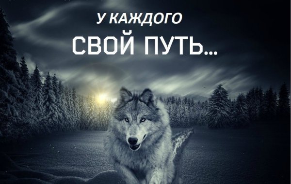 image (11)