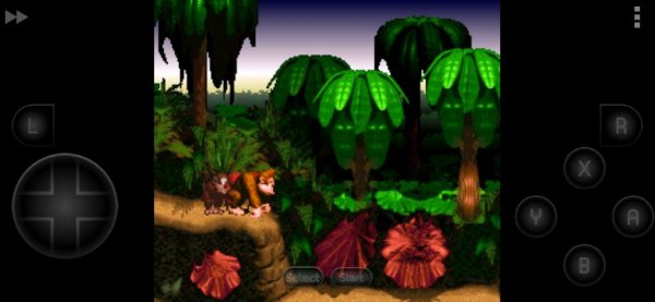 Donkey Kong Country [T+Rus Chief-Net]