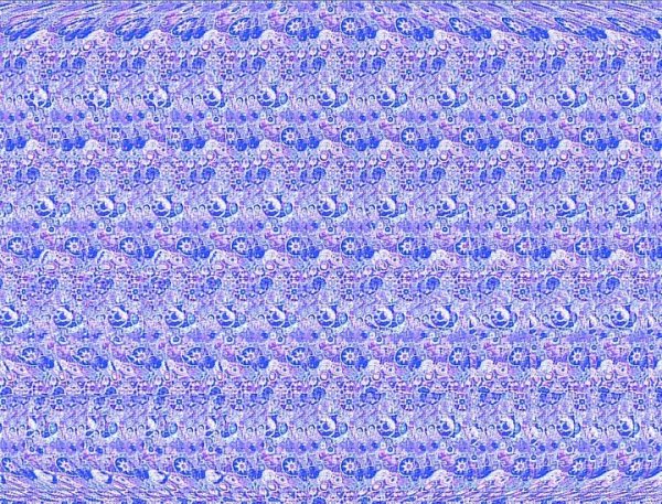 file_103562580