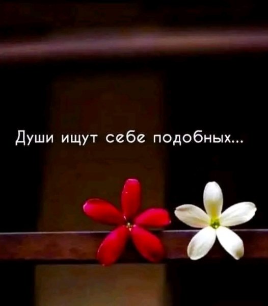 file_103560869
