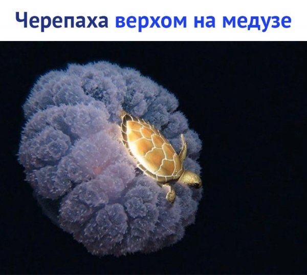 photo 1559542328