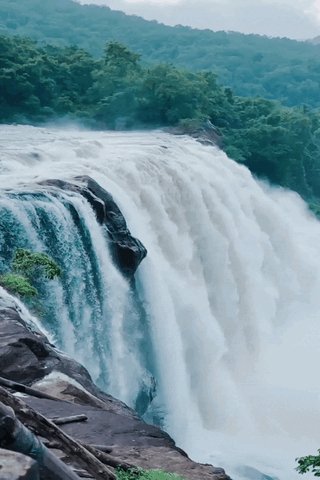 Файл #97364648