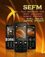 SEFM v. 3. 5