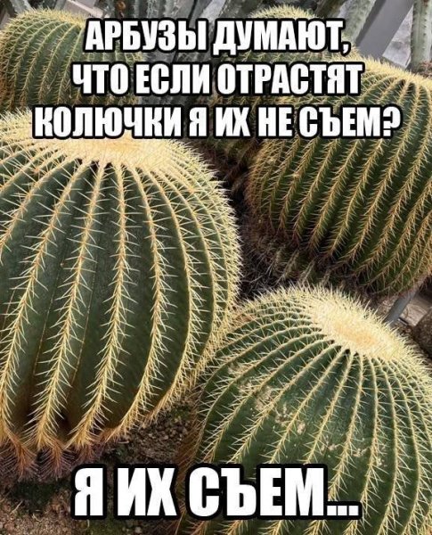 IMG 20261008 003434 753