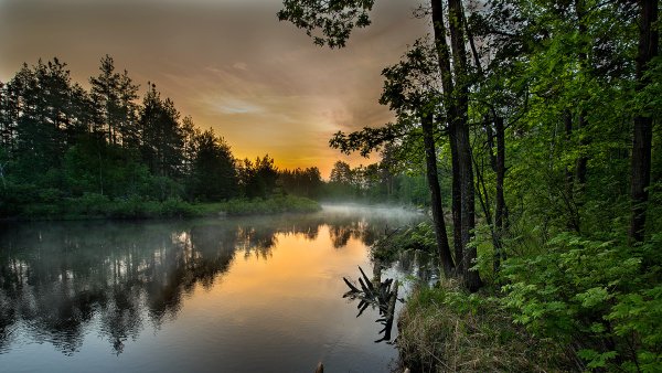Красоты родной природы 5 14