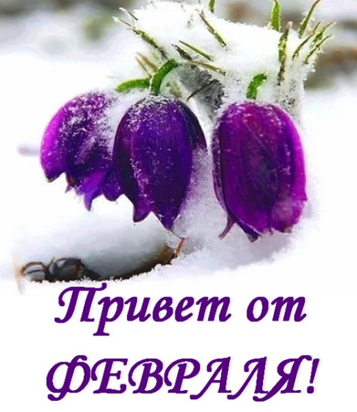 Привет от февраля