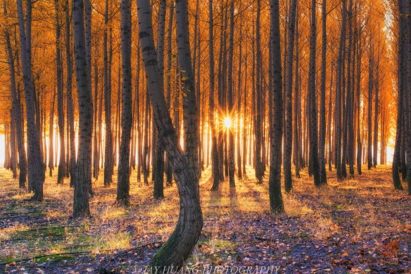Light And Shadow