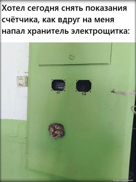 Dk2GJGDGzN4