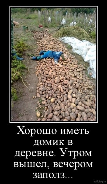 3f11b693aa2dbe173fb37a2cbd26e958