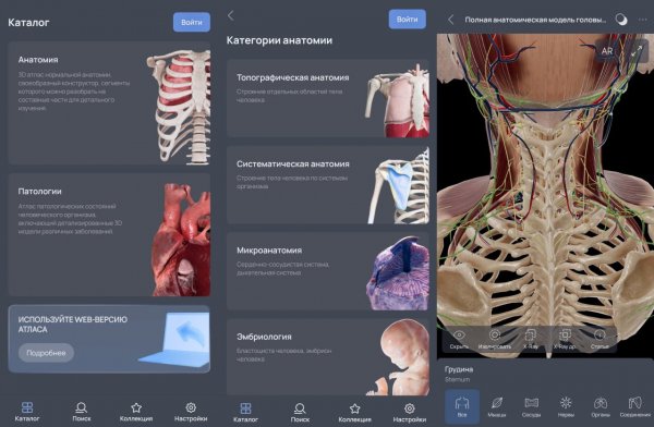 VOKA 3D Анатомия Pro v6. 12. 1