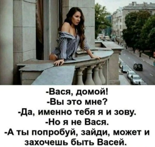 Вася, домой!