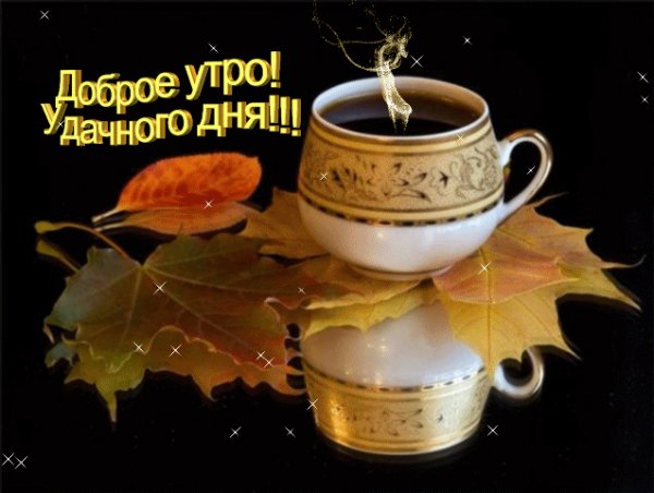 Доброе утро!