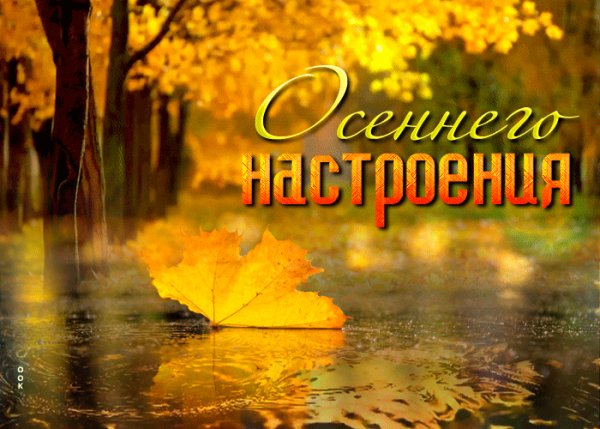 file_100887170