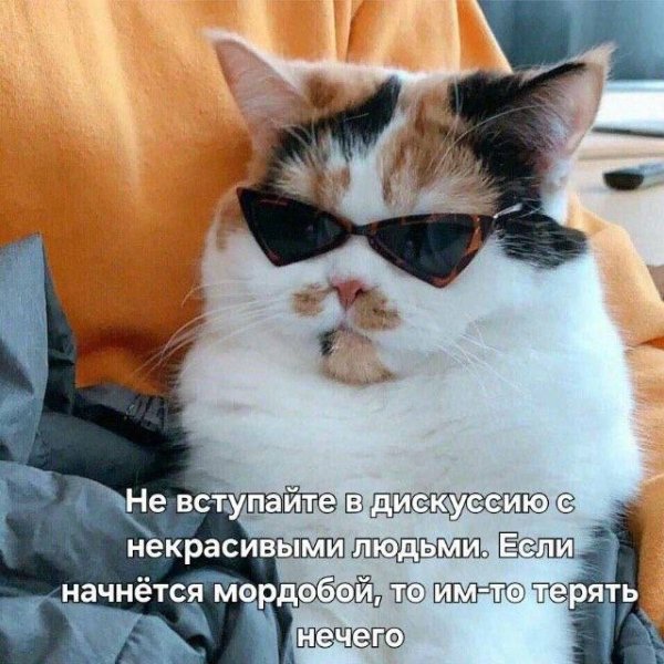 IMG 20261003 185706 384