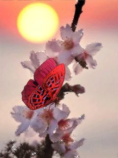 file_48620764
