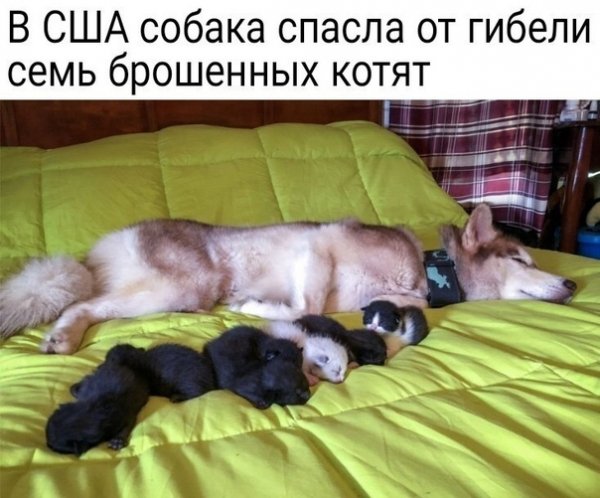 VQ0MbtU1lTg