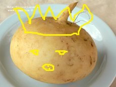 король репа