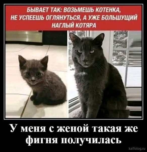 file_103572898