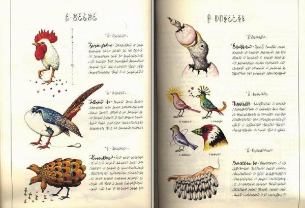 &amp;quot;Кодекс Серафини&amp;quot;. Самая странная книга в мире