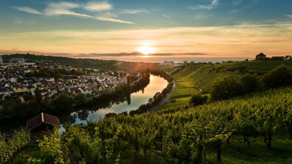 NeckarVineyards ROW5359254474 UHD