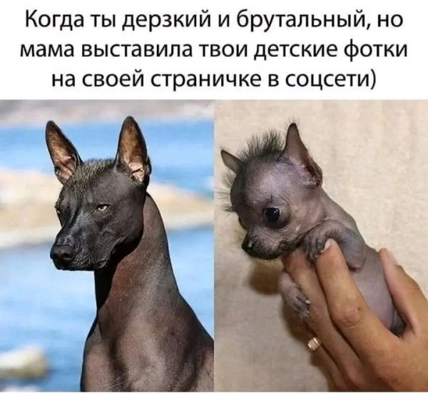 file_103569876