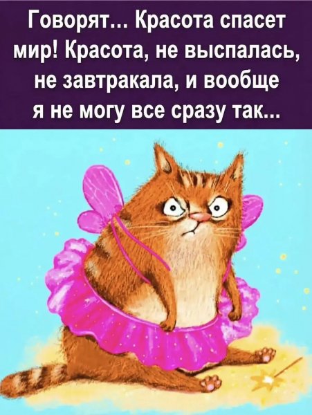 IMG 20261004 203332 815