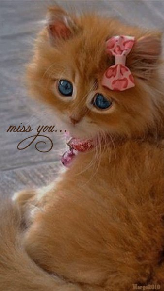 file_50767544