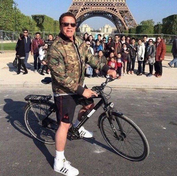 ARNOLD
