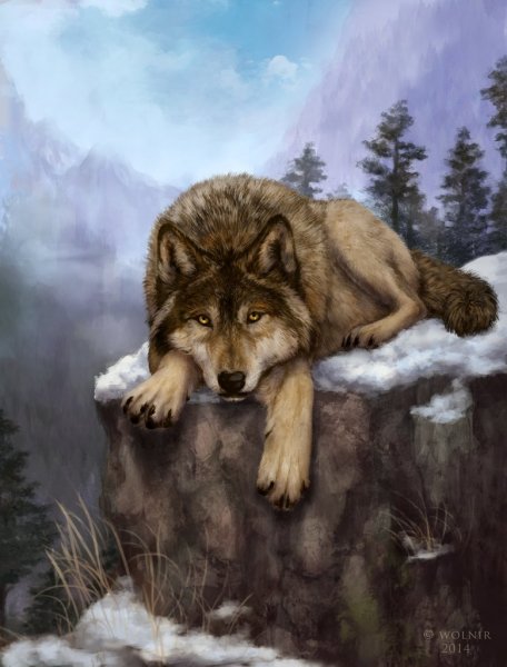 solitary king not a photo by wolnir-d89k