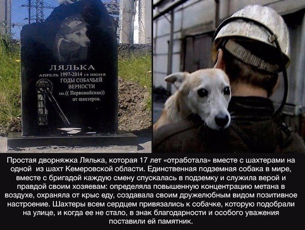 file_59337512
