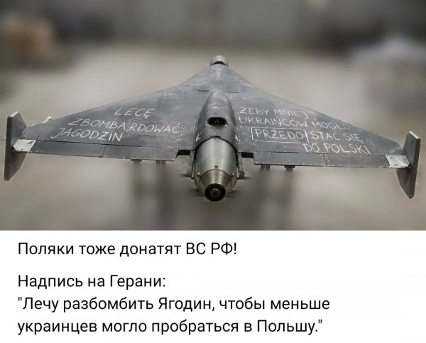 IMG 20261004 195452