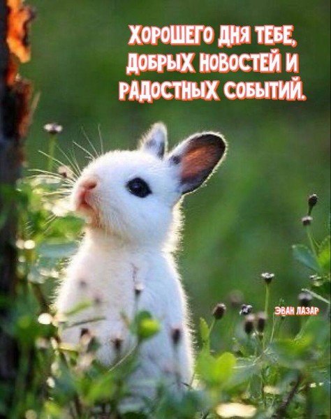 file_94824246