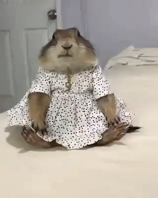 gif 1488965395