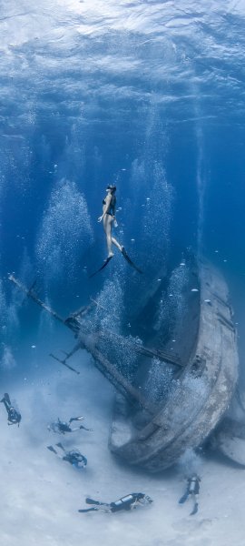 file_103210171