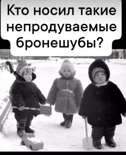 Бронешубы
