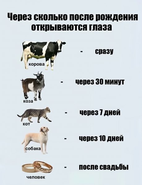 Smeshnoo i tochkaa a361a40f1564468988552f4fe7fff126