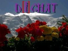 dichat