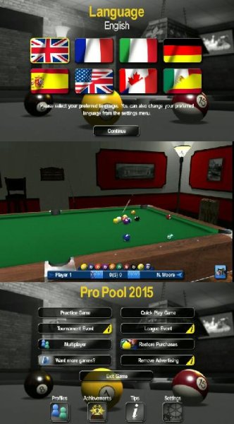 Pro Pool 2015 v1. 17