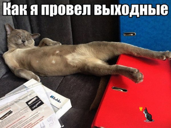 file_79697593