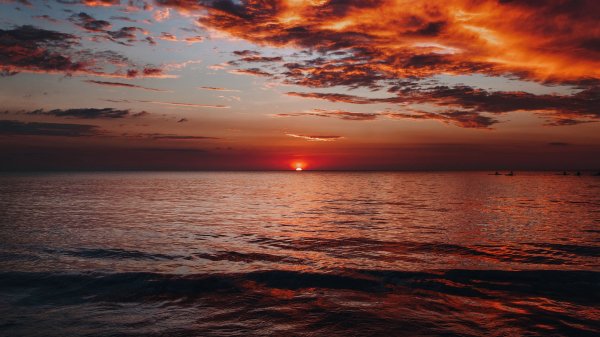 Img (17)
