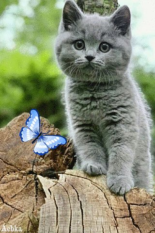 Файл #96033232
