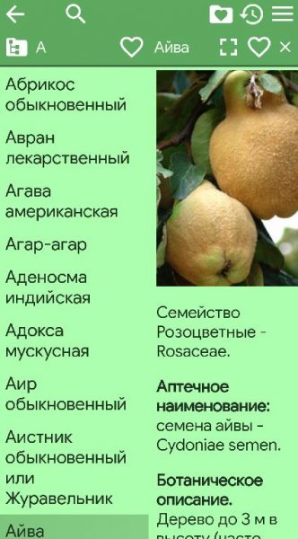 Лекарственные растения (2. 96) Рекламы нет