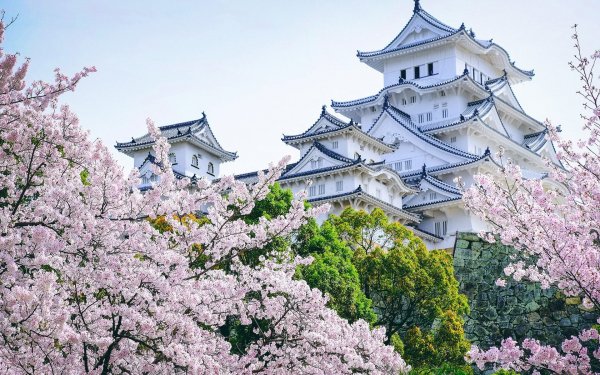 Japanese castle